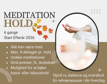 Meditationshold efterår 2026